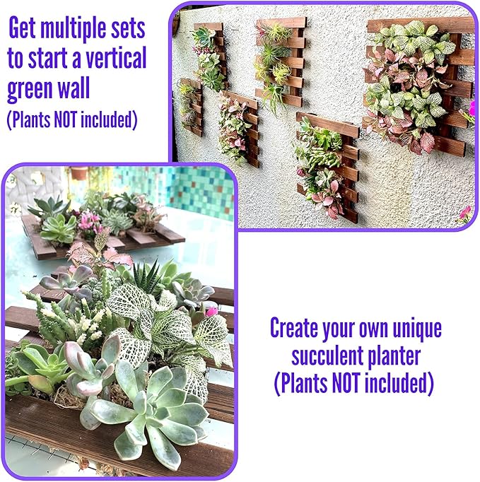 ShopLaLa Wall Planter - 2 Pack Wooden Orchid Planter Frame Display Outdoor Plants, Wall Mount Air Plants Succulent Holder Hanger, Vertical Garden Plant Wall Decor Macetas para Orquideas 15.7" (40cm)