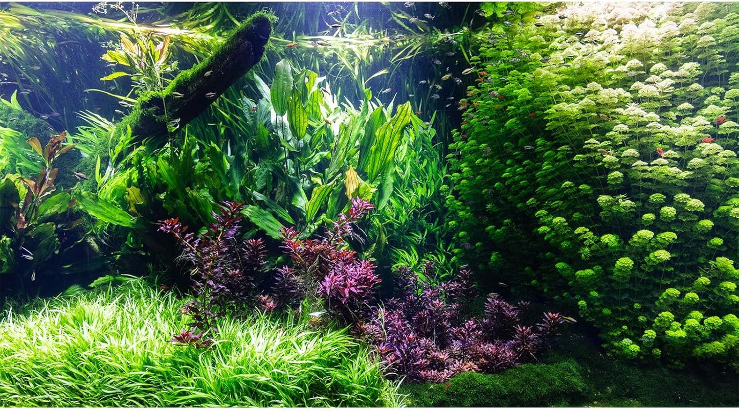 Aquarium Background Various Underwater Grass Plants Aquarium Backdrop Vivid and Fresh Green Aquatic Plants Stone River Bed and Dead Wood Tank Background Vinyl 72x16in