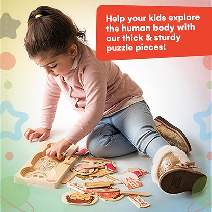 Kidzlane 29 Piece Wooden Puzzle for Toddlers and Kids - Boy Anatomy Puzzle Play Set - Layered Human Anatomy Kid Puzzles - My Body Preschool Game, Montessori Skeleton Toy - Human Body Model for Kids