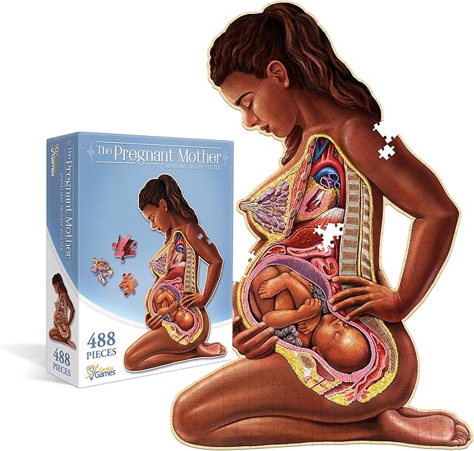 Pregnant Mother Anatomy Jigsaw Puzzle | 488-Piece Science Accurate Adult Puzzle | Educational and Entertaining 3ft x 2ft Poster Size Puzzle | Ideal Gift for Mothers, Educators & Medical Professionals