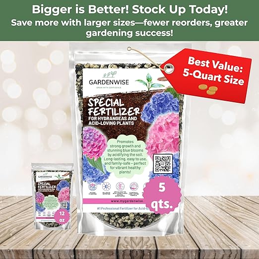 Slow Release Hydrangea Fertilizer with Iron & Sulfur – Indoor & Outdoor Soil Acidifier for Miracle Growth (12 oz)