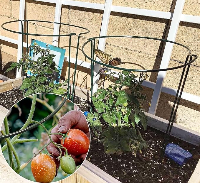 TCBWFY 10 Pack Plant Support Stakes for Peony,10" Widex24 High Heavy Duty 4.5mm Peony Cages and Support,Metal Peony Supports for Outdoor Indoor Plants,Plant Supports for Peony