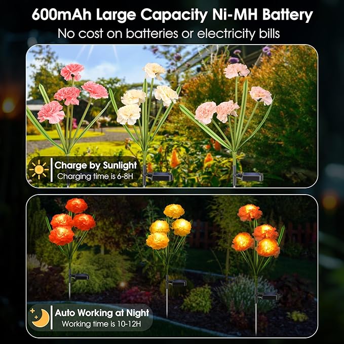 Solar Flowers Outdoor Waterproof, Solar Carnation Stake Lights Outside with 12 Real Looking Flowers for Yard Decorations Outdoor, Front Yard, Garden, Flower Bed, Lawn, Patio Decor (3 Pack)