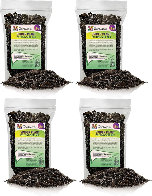 Premium Spider Plant Potting Soil Mix (4 Bags of 5 Quart)