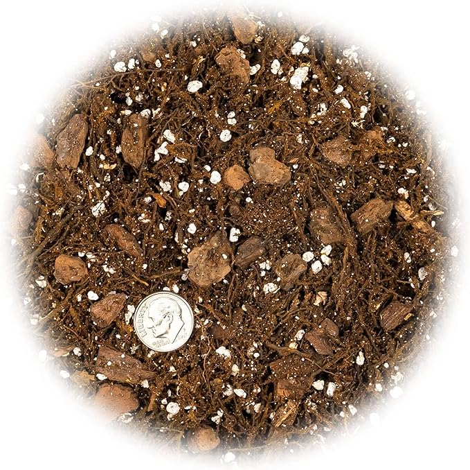 Premium Gardenera House Plant Potting Mix | Fern + New Zealand Bark + Perlite | Great for Pothos, Spider Plants, Montsera, Philodendron, English Ivy - 5 Quart Bag