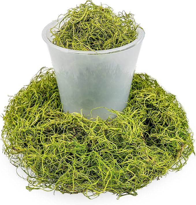 Premium Spanish Moss in Spring Green| Natural Preserved - Great Ground Cover - Filler for Potted Plants - by GARDENERA - 3 Quart Bag