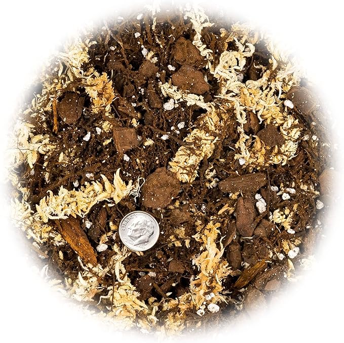 Premium Orchid Mix by GARDENERA - 20 Quart - Fern + New Zealand Pine Bark + Sphagnum Moss + Perlite | Best for Growing and Repotting Orchids (4 Bags of 5 QT)