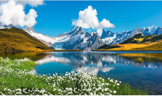 Mountains Lake Aquarium Background Bernese range View Fish Tank Background Switzerland Alps Grindelwald Valley Lake Terrarium Background Fantastic Natural Landscape Aquarium Fish Tank Decors 36x20in