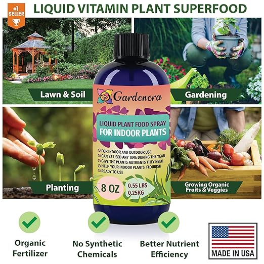 Plant Growth Superfood for Mango Trees with 18 Essential Vitamins & Minerals - Organic Plant Food Fertilizer - Micro-Fungi and Bio-Organisms for Mango Plant Care & Growth Enhancement - 32oz