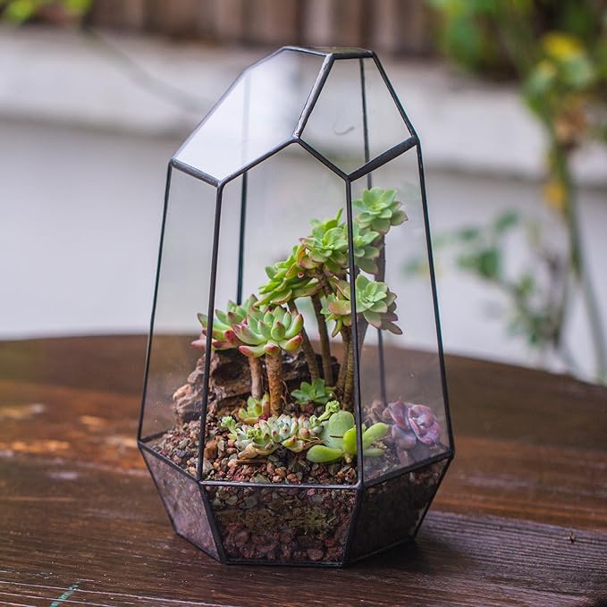 NCYP Geometric Glass Terrarium Planter for Succulent, Small Cacti - 6.5" x 5.7" x 9.8" Black Irregular Opened Container Pot, Indoor Home Garden Office Tabletop Decor (No Plants, No Door)
