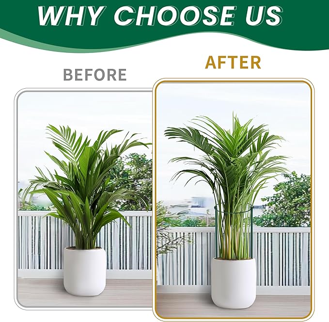 TCBWFY 10 Pack Plant Support Stakes for Peony,10" Widex24 High Heavy Duty 4.5mm Peony Cages and Support,Metal Peony Supports for Outdoor Indoor Plants,Plant Supports for Peony