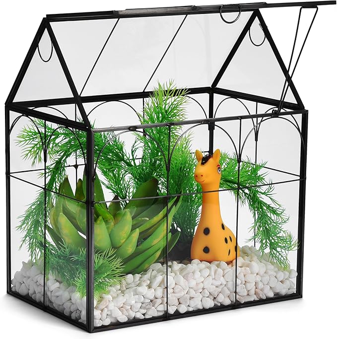 Window Garden Glass Terrarium with Lid - 9x11x6-Inch Indoor Greenhouse Plant Terrarium Decor Planter Dome - Terrarium Kit Tabletop Greenhouse - Plant Accessories Ideal Gift for Nature Lovers