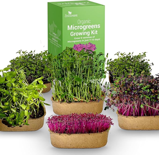 Complete Microgreens Growing Kit with 6 of The Most Popular Seed Varietes to Grow Nutritious Microgreens at Home.
