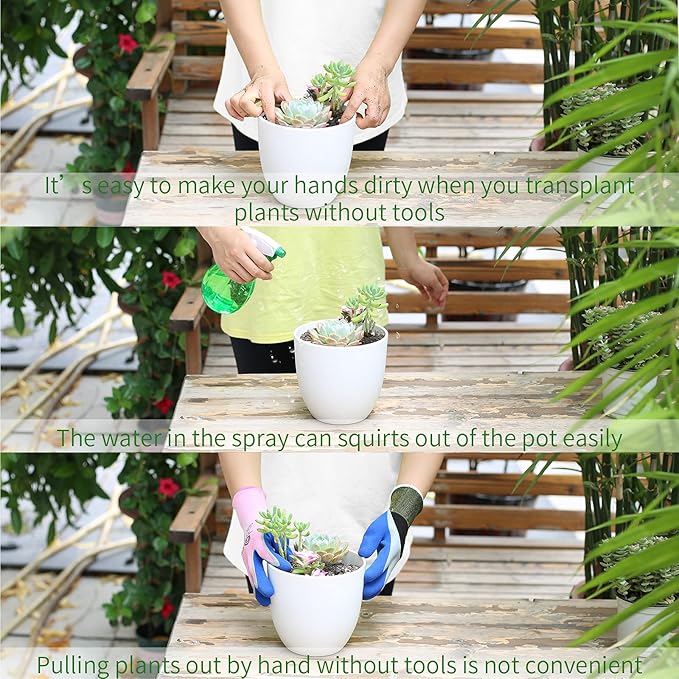 11Pcs Succulent Tools,Mini Garden Tools,Succulent Watering Tool as Plant Accessories,Succulent Gardending Hand Tools Kit for Seedling Soil,Caring Succulent,Houseplant,Gifts for Woman (No Flowerpot)