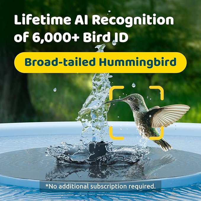 Birdfy Smart Bird Bath with Camera Solar Powered & Fountain, Dual-Lens Camera for Wildbird Watching, Auto Capture Bird Videos & Motion Detection - AI Lifetime Version