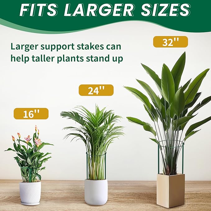 TCBWFY 14" Dx32 H Plant Supports Stakes for Large Heavy Plants,6 Pack Peony Supports,Heavy Duty 5mm Wire Peony Cages,Interlock Garden Supports Ring Border Support,Plant Support Cage for Rose Flower