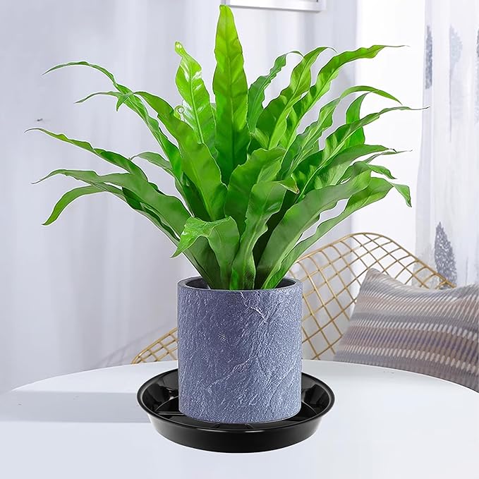 6 Pack Plant Saucer Drip Tray 14 inch, Large Plastic Plant Trays, Heavy Sturdy Plastic Planter Flower Pot Saucers for Indoor Outdoor Garden, Plant Water Drip Trays for pots (14", Black)