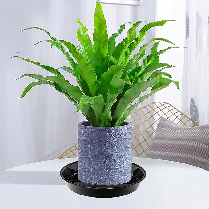 Plant Saucer, Plant Saucers 10 inch 2 Pieces, Plant-Saucers