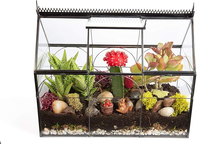 D'Eco Glass Greenhouse Plant Terrarium (10x4.5x9) - Indoor Tabletop Black Hinged Geometric Planter - Succulents, Air Plants, Moss, Fern - Home Garden Office Decor - Gift for Plant Lovers