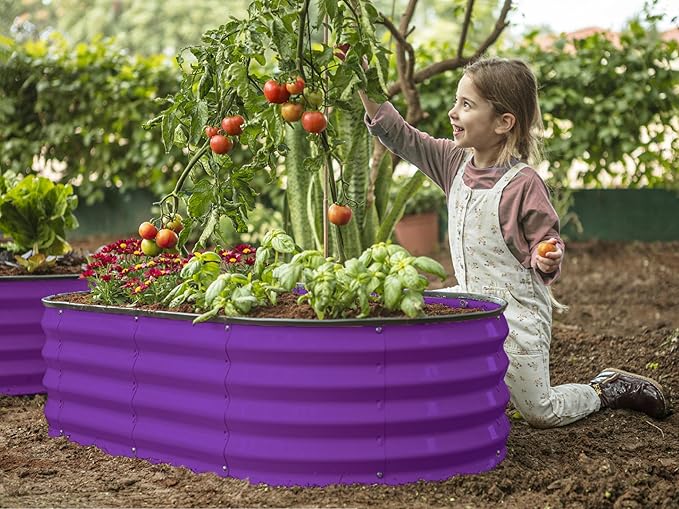 Galvanized Raised Garden Beds Outdoor // 4×2×1 ft (2-Pack) Planter Raised Beds for Gardening, Vegetables, Flowers // Large Metal Garden Box (Purple) // Patented Tool-Free Design