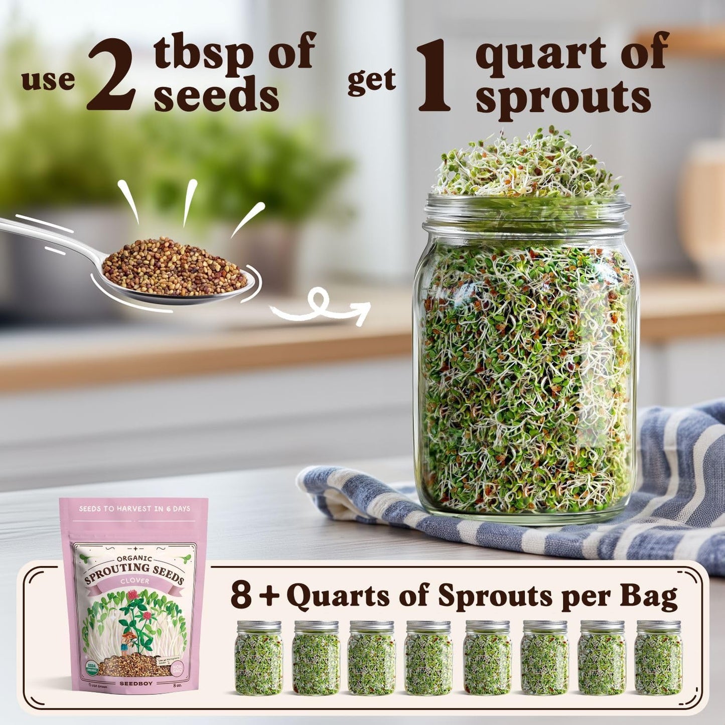 Seedboy Organic Clover Seeds for Sprouting - Non-GMO, USA Grown Microgreens Sprouting Seeds Mix - Makes 8 Quarts of Sprouts, 24 Servings (8 oz) (Red Clover)