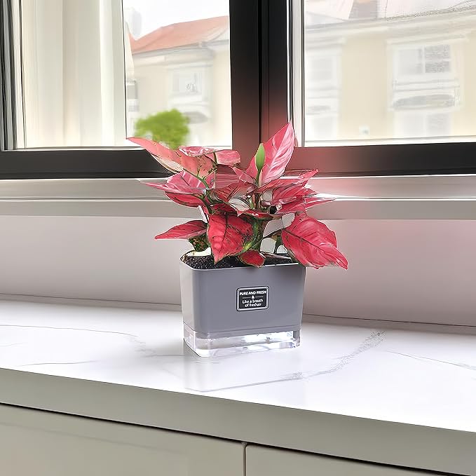 Self Watering Pots for Outdoor Plants 4 Pack, Suitable for Indoor and Outdoor Garden Plants and Flowers, Rectangle Planter Box, African Violet Pots, Modern Flower Pots, Small Plant Pots (7" Gray)