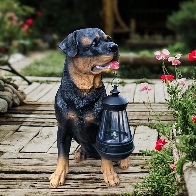 Notakia Resin Dog Rottweiler Statues and Sculptures with Solar Led Home Garden Decoration Windproof Lamp Outdoor Lighting Decor (Rottweiler &LED)