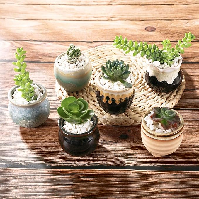 T4U Small Ceramic Succulent Pots with Drainage Set of 6, Mini Pots for Plants, Plant Lover Gifts for Women, Tiny Air Plant Flower Pots Cactus Faux Plants Containers, Home and Office Decor