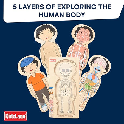 Kidzlane Wooden My Body Puzzle for Toddler - 5-Layer Human Anatomy Puzzle - Real Wood - Multicolor - Educational Toy for Kids - BPA Free - Explore Skeletal, Respiratory, Digestive System