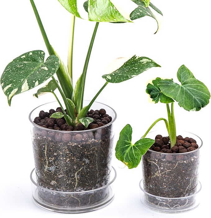 Phoenix Vine 6.5 Inch 4.5 Inch Clear Acrylic Houseplants Planter Pot with Tray, Orchid Pot with Drainage Holes, Deep Saucer for Bottom Watering, Modern Transparent Containers for Indoor Plants, Herbs,