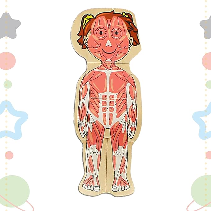 Kidzlane 29 Piece Wooden Puzzle for Toddlers and Kids - Boy Anatomy Puzzle Play Set - Layered Human Anatomy Kid Puzzles - My Body Preschool Game, Montessori Skeleton Toy - Human Body Model for Kids