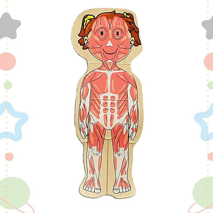 Kidzlane 29 Piece Wooden Puzzle for Toddlers and Kids - Boy Anatomy Puzzle Play Set - Layered Human Anatomy Kid Puzzles - My Body Preschool Game, Montessori Skeleton Toy - Human Body Model for Kids