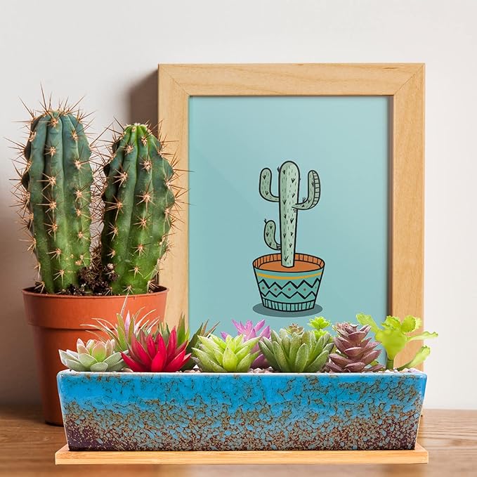 Succulent Pots - 12.1 Inch Large Succulent Planters Pots with Drainage Tray, Long Rectangle Ceramic Pots for Indoor Cactus/Succulent Plants Shallow Bonsai Window Box for Home Garden Decor (Blue)