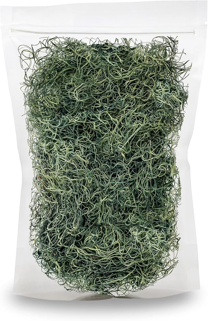 Premium Spanish Moss in Basil| Natural Preserved - Great Ground Cover - Filler for Potted Plants - by GARDENERA - 1 Quart Bag