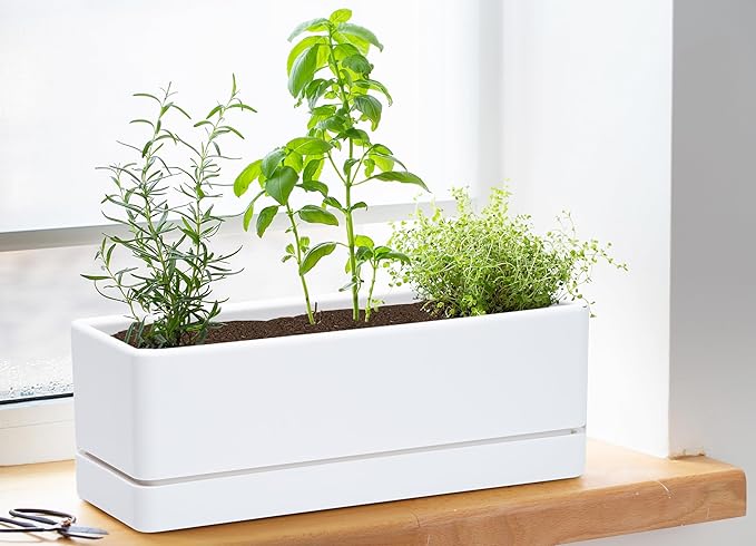 D'vine Dev 12 Inch Window Box Planter, Rectangle Plastic Herb Planter with Drainage Holes and Saucer, Indoor Succulent Cactus Vegetable Pot for Windowsill, Garden Balcony, White, Set of 2, 76-X-A-2
