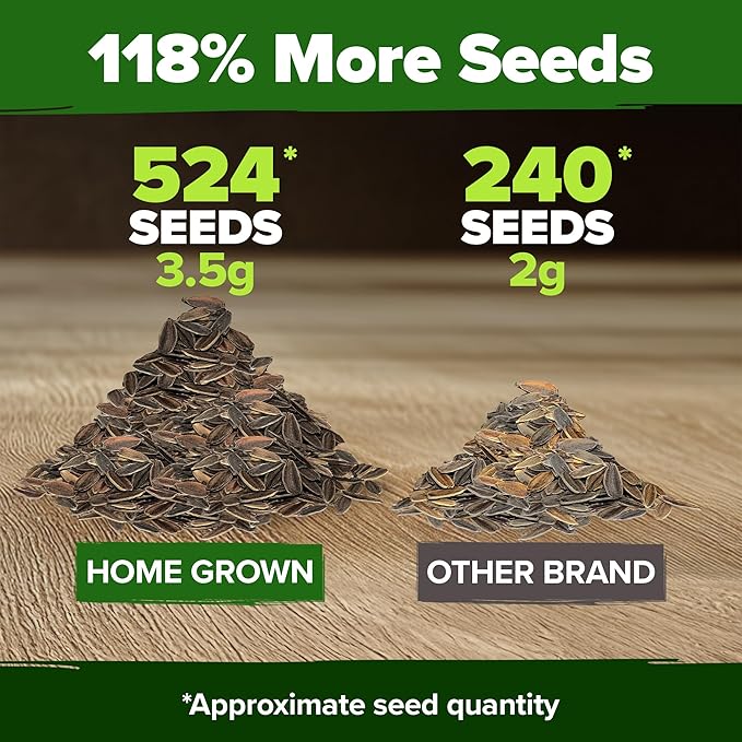 HOME GROWN 𝗨𝗦𝗔 𝗣𝗥𝗘𝗠𝗜𝗨𝗠 Zinnia Dahlia Seeds Pack for 2025 – 524 𝗡𝗢𝗡-𝗚𝗠𝗢 Flower Seeds | Vibrant Zinnia Elegans for Pollinator Gardens, Borders & Containers | Easy-to-Grow Outdoor Blooms