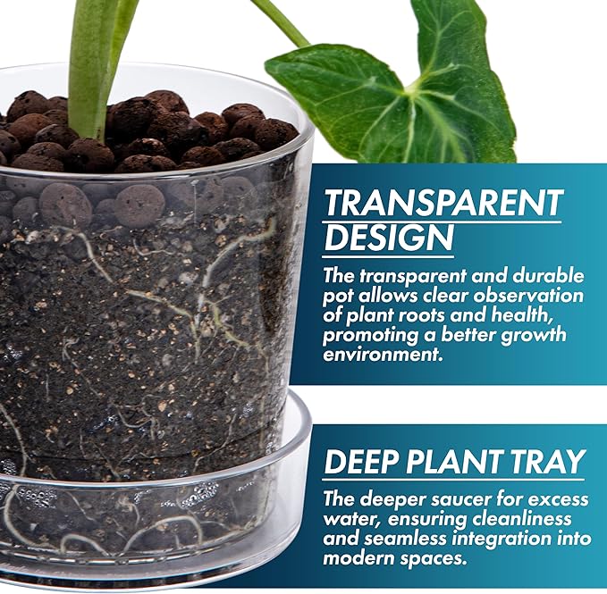 Phoenix Vine 4.5 Inch Clear Acrylic Planter Pot with Tray, Orchid Pot with Drainage Holes, Deep Saucer for Bottom Watering, Transparent Containers for Indoor Plants, Herbs, Set of 3, 91-A-E-3