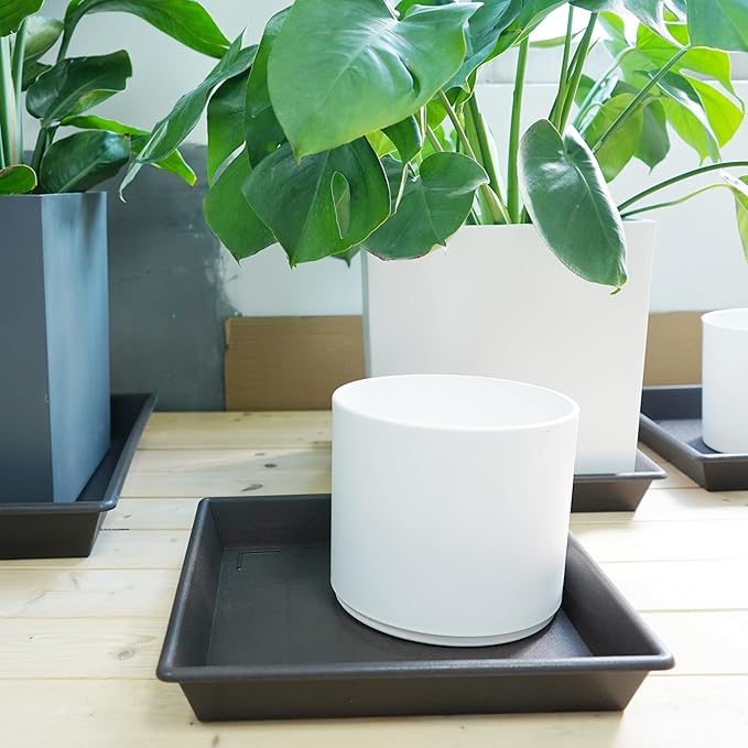 Square Plant Saucer 14 Inch 5 Pack，Plant Stand Plant Trays for Pots Heavy Duty Plastic Plant Saucers for Indoors Outdoors, Flower Pot No Holes Plant Lover Gardening Gifts