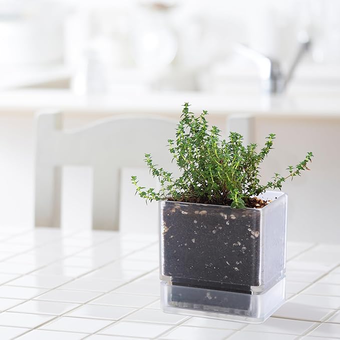 4 Inch Herb Planter Pot, Plastic Planter with Drainage Holes and Saucer, Modern Decorative Gardening Pot for Indoor Plants, Flowers, Herbs, Succulents, Clear, Set of 3, 76-Y-D-3