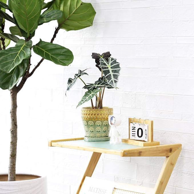 6 Inch + 5 Inch Ceramic Planter Pot with Drainage Holes, Saucers and Mesh Pads for Indoor-Outdoor Plants, Succulent Orchid Flower, Round Plant Pots, Set of 2