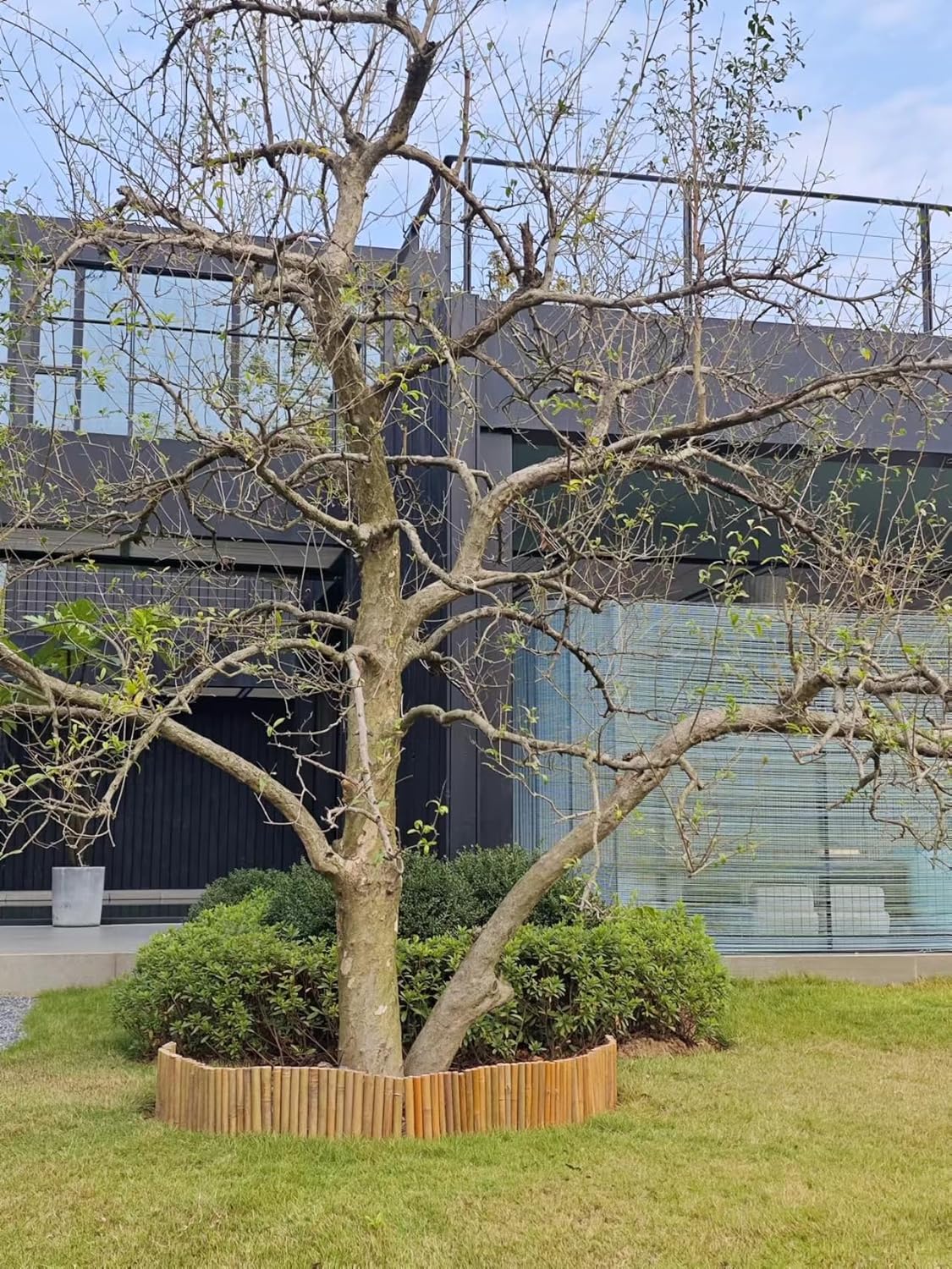 Bamboo 2 Pack Short Fence Outdoor Landscape Edging Flexible Decorative Border 7.8'' H x 47'' L