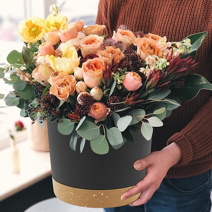 QCQHDU 10 inch Plant Pot, 2 Pack Planters for Indoor Plants with Drainage Holes & Saucer, Outdoor Flower Pots Home Garden Modern Decor