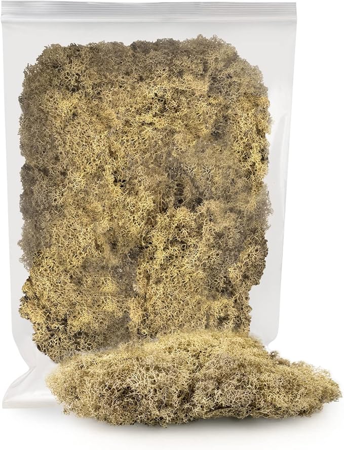 Premium Preserved Reindeer Moss for Potted Plants, Terrariums, Fairy Gardens, Arts and Crafts or Floral Decor Design in Natural (4 Quart Bag)