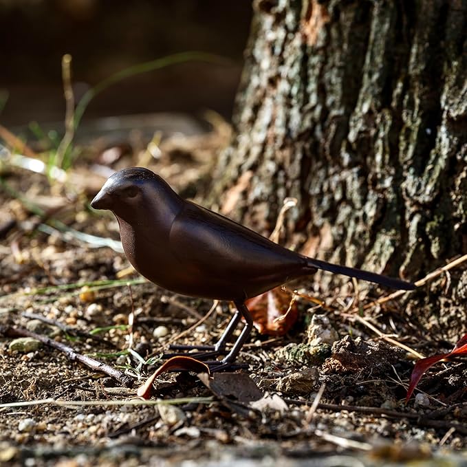 Decorative Small Nostalgia Style Cute Bird Art Iron Sculpture£¬ Figurine Home & Office & Garden Decoration, Rust/Brown (Carolina Wren)