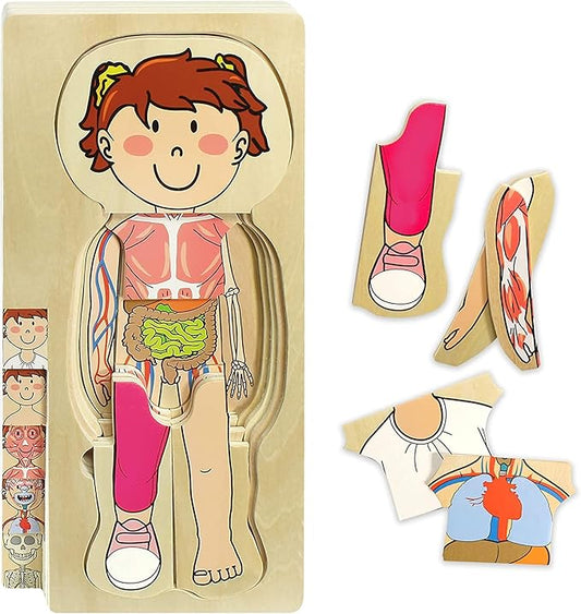 Kidzlane 29 Piece Wooden Puzzle for Toddlers and Kids - Boy Anatomy Puzzle Play Set - Layered Human Anatomy Kid Puzzles - My Body Preschool Game, Montessori Skeleton Toy - Human Body Model for Kids