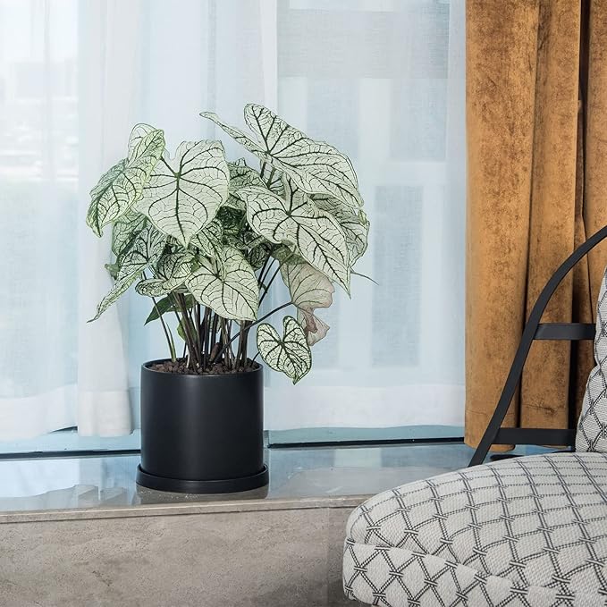 Planters for Indoor Plants Ceramic Flower Succulent Plant Pots with Drain Hole Saucer Decor for Home Office (6 inch Black)