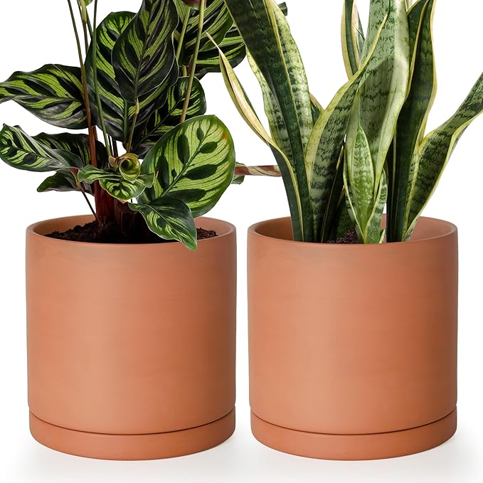 D'vine Dev Medium 8 Inch Terracotta Plant Pot with Drainage Hole and Saucer, Round Cylinder Planter Pot for Indoor Plants, Set of 2, 40-X-B-4