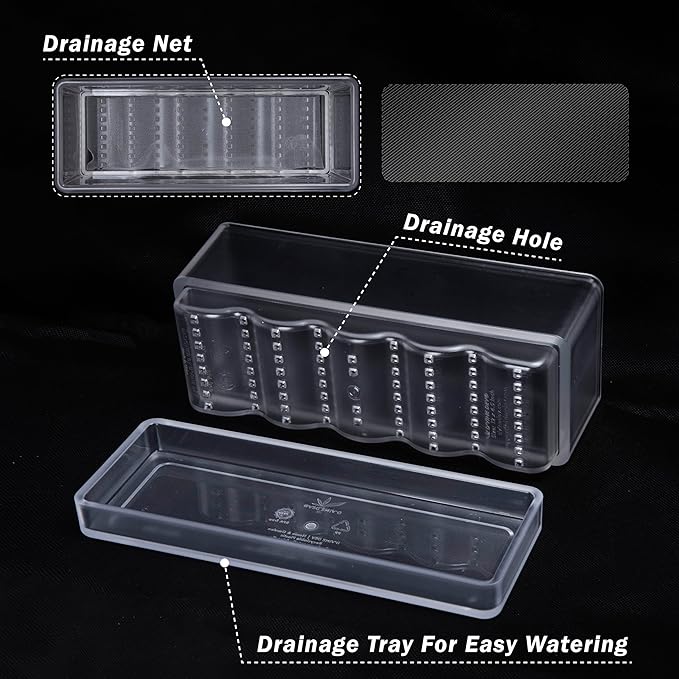 D'vine Dev 12 Inch Window Box Planter, Rectangle Plastic Herb Planter with Drainage Holes and Saucer, Indoor Succulent Cactus Vegetable Pot for Windowsill, Garden Balcony, Clear, Set of 1, 76-X-D-1