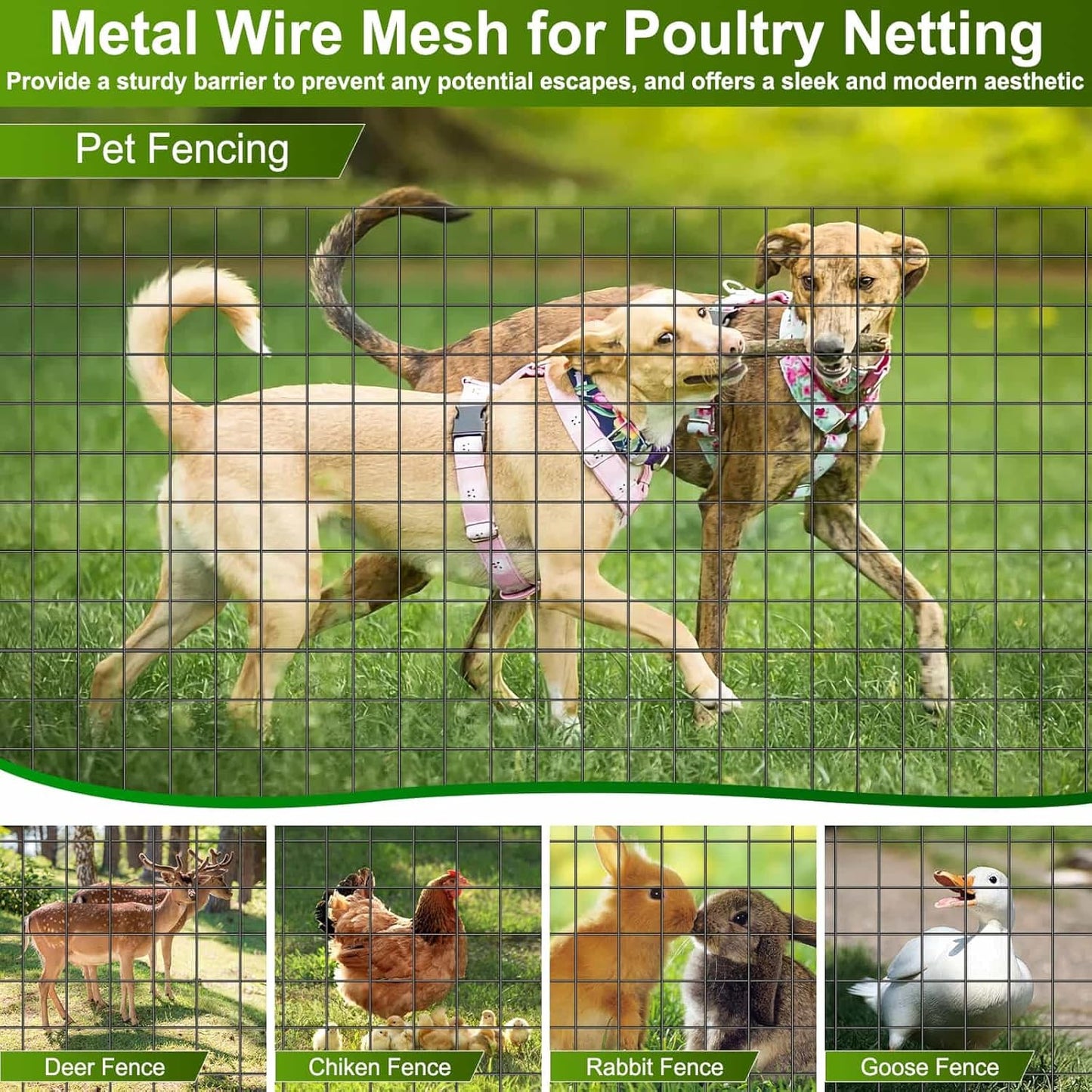 Black Welded Wire Fence 36 Inch x 59 Foot, 2.4" x 2.4" 14GA PVC Coated Wire Fencing for Garden Bed, Vinyl Coated Metal Wire Mesh Roll for Yard Vegetable Plant Protection Chicken Dog Poultry Netting