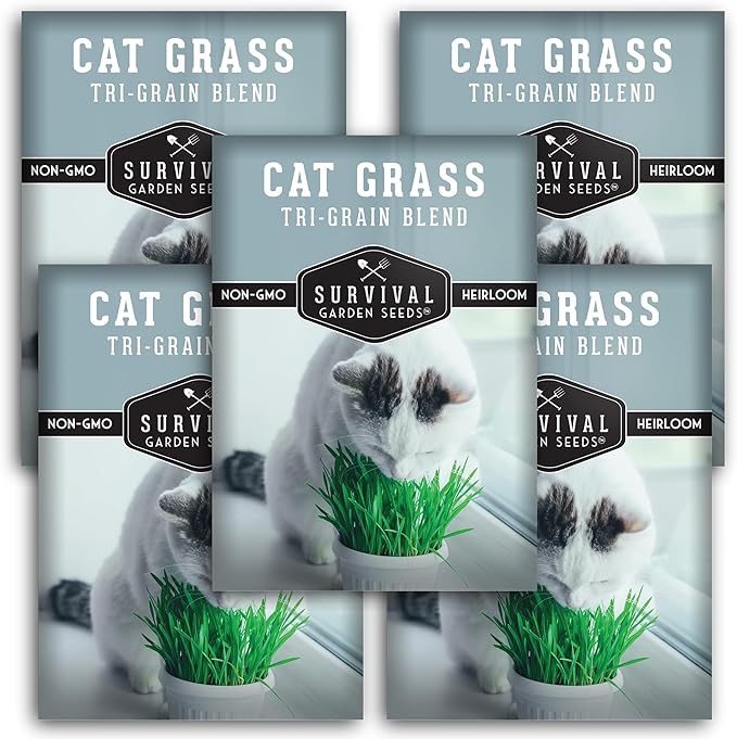 Cat Grass Seed for Planting - 5 Packets with Instructions to Plant & Grow Greens for Your Pet Indoors or Outdoors in a Container or Garden - Non-GMO Heirloom Variety - Survival Garden Seeds